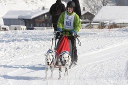 Lenk 2012 SM